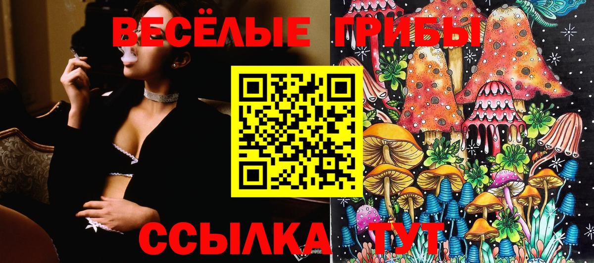 Псилоцибиновые грибы Psilocybine cubensis  Галлюциногенные грибы MAGIC MUSHROOMS  Вход с VPN  Благовещенск 