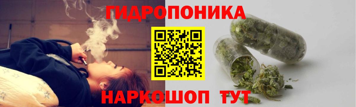 Бошки Шишки семена  Бошки Шишки сатива  Вход с VPN  Благовещенск 